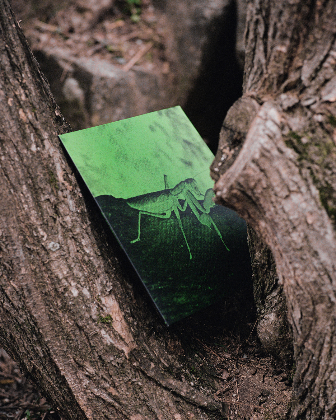 somewhere to stay not to arrive — vinyl